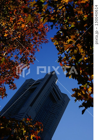 紅葉のみなとみらいのランドマークタワー 130040614