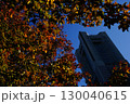 紅葉のみなとみらいのランドマークタワー 130040615