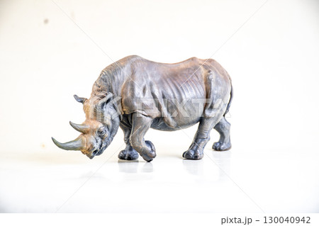 black rhino  on isolated background 130040942