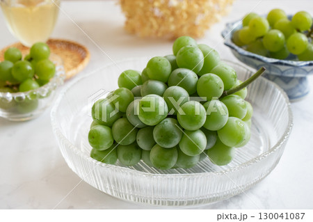 ポートランド種(1) 130041087