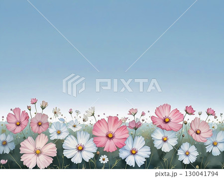 秋の青空に映えるコスモスのイラスト 秋の青空に映えるコスモスのイラスト 130041794