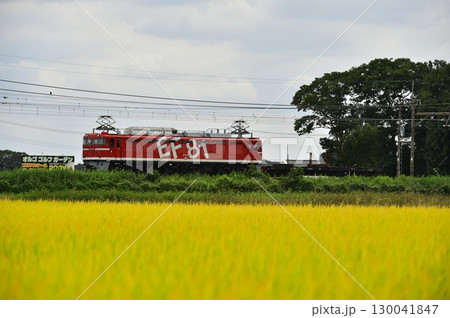 電気機関車 EF81 130041847