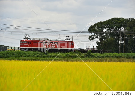 電気機関車 EF81 130041848