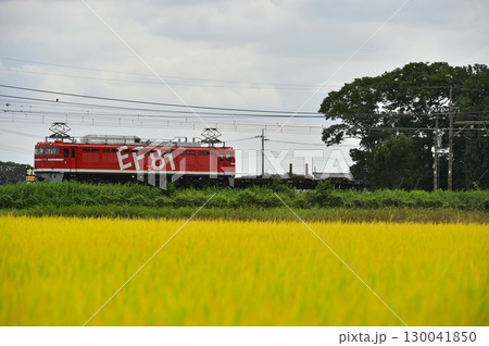 電気機関車 EF81 130041850