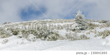 Landscape of Serra da Estrela Landscape of Serra da Estrela 130041893