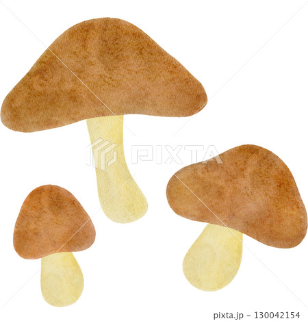 水彩で描いたきのこのイラストのイラスト素材 [130042154] - PIXTA