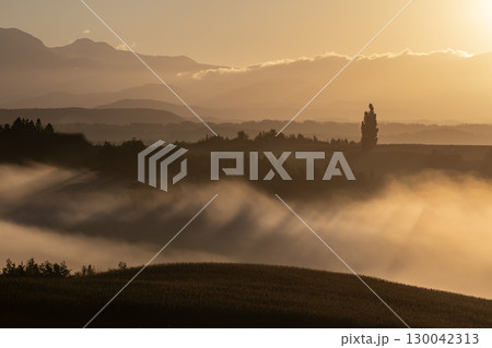 幻想風景朝霧の大地 130042313