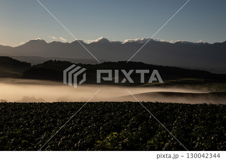 幻想風景朝霧の大地 130042344