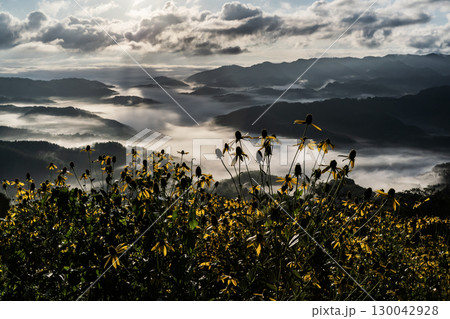 絶景風景と雲海 130042928