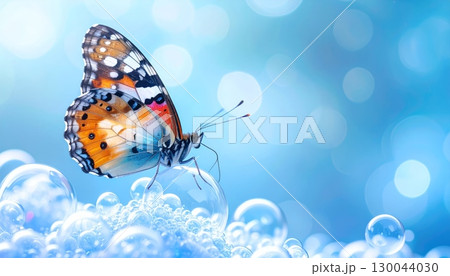 A macro closeup of a beautiful orange butterfly with black wings on a bubble 130044030