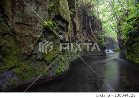 神秘的な樽前ガロー 130044328