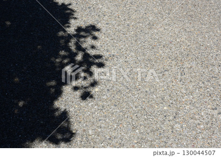 アスファルトに落ちた木の影 130044507