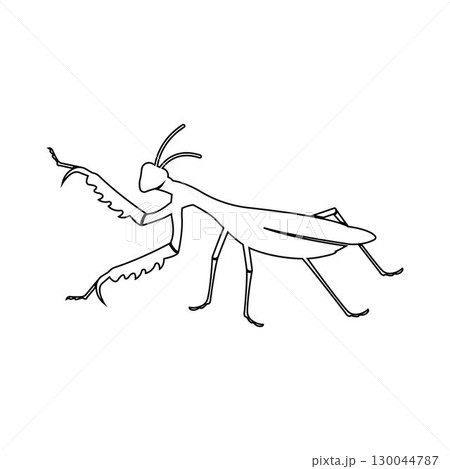 praying mantis icon design template praying mantis icon design template 130044787