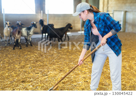 Portrait of active young European female employee working with hay and straw in barn on goat farm 130045422