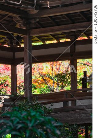 京都 三尾 槙尾山 西明寺 美しい秋の紅葉 (京都府京都市右京区) 京都 三尾 槙尾山 西明寺 美しい秋の紅葉 (京都府京都市右京区) 130045736