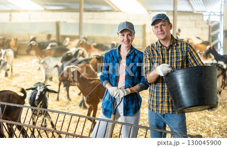 Portrait of married couple - owners of livestock farm inside goat pen 130045900