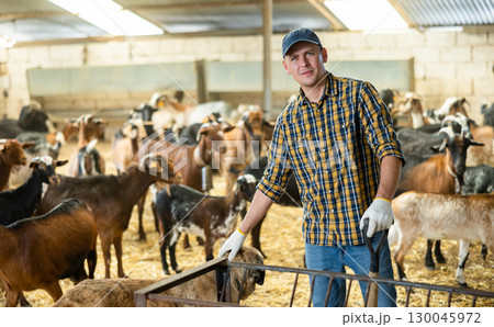 Hired livestock farm worker cleans up goat pen Hired livestock farm worker cleans up goat pen 130045972