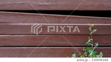 Warm Brown Wooden Planks with Vibrant Green Plant in Outdoor Setting Warm Brown Wooden Planks with Vibrant Green Plant in Outdoor Setting 130046166