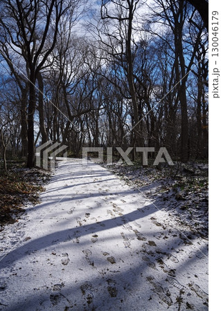 早春の北海道　なごり雪の青葉公園散策路と冬木立 130046179