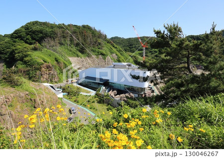山形　鶴岡　加茂水族館 130046267