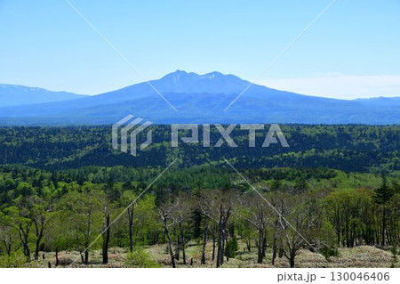 6月の斜里岳景観 6月の斜里岳景観 130046406