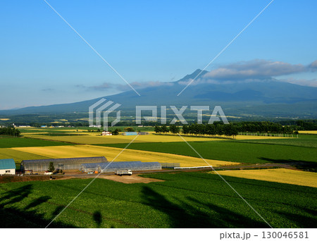 7月の斜里岳景観 130046581