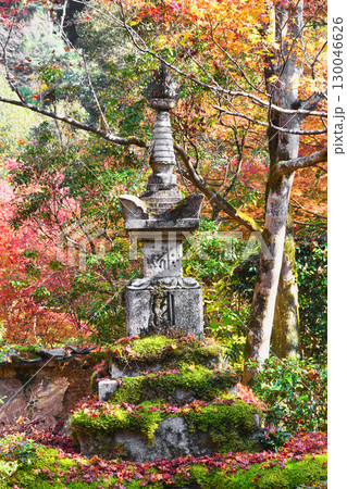 京都 三尾 槙尾山 西明寺 秋の美しい紅葉 (京都府京都市右京区) 京都 三尾 槙尾山 西明寺 秋の美しい紅葉 (京都府京都市右京区) 130046626