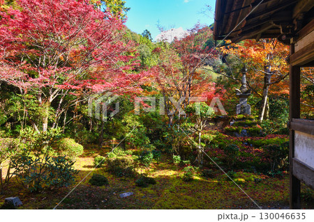 京都 三尾 槙尾山 西明寺 秋の美しい紅葉 (京都府京都市右京区) 京都 三尾 槙尾山 西明寺 秋の美しい紅葉 (京都府京都市右京区) 130046635