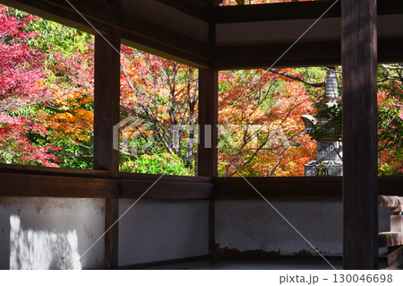 京都　三尾　槙尾山　西明寺　美しい秋の紅葉　(京都府京都市右京区） 130046698