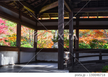 京都　三尾　槙尾山　西明寺　美しい秋の紅葉　(京都府京都市右京区） 130046718