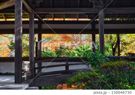 京都 三尾 槙尾山 西明寺 美しい秋の紅葉 (京都府京都市右京区) 京都 三尾 槙尾山 西明寺 美しい秋の紅葉 (京都府京都市右京区) 130046730