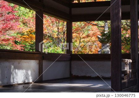 京都　三尾　槙尾山　西明寺　美しい秋の紅葉　(京都府京都市右京区） 130046775
