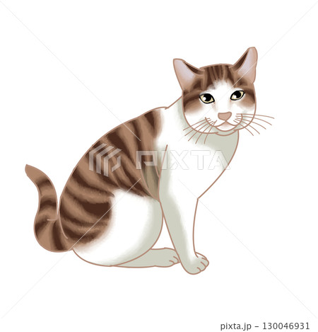 猫 猫 130046931