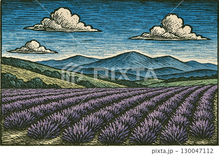 ラベンダー畑　版画調 130047112
