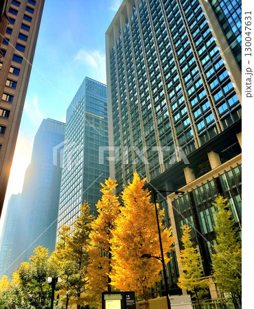 紅葉した銀杏並木とオフィス街の風景 紅葉した銀杏並木とオフィス街の風景 130047631