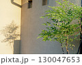 朝の光 130047653