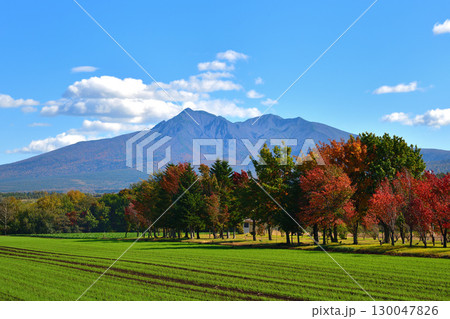 10月の斜里岳景観 10月の斜里岳景観 130047826