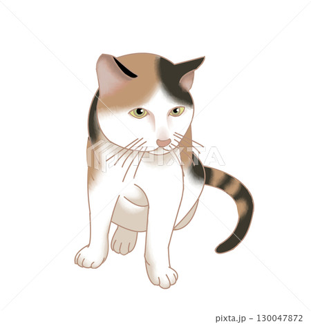 三毛猫 130047872