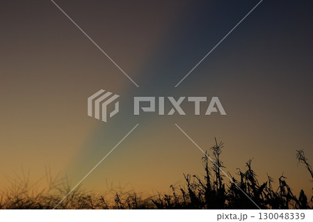 美しい夕暮れの空 130048339