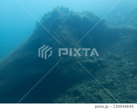 本栖湖にいる魚 130048648