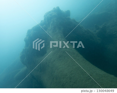 本栖湖の切り株 130048649