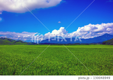 長閑な田園風光 長閑な田園風光 130048949