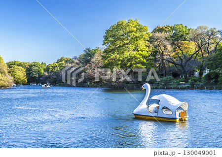 初秋の「井の頭恩賜公園」 東京に広がる自然風景【東京都・武蔵野市-三鷹市】 初秋の「井の頭恩賜公園」 東京に広がる自然風景【東京都・武蔵野市-三鷹市】 130049001