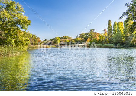 初秋の「井の頭公園・井の頭池」の風景【東京都・武蔵野市－三鷹市】 130049016