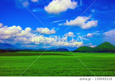 真夏の田園風景 130049128