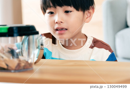 クワガタの観察をする男の子 クワガタの観察をする男の子 130049499