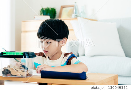 クワガタの観察日記を書く小学生男子 クワガタの観察日記を書く小学生男子 130049552
