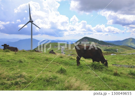 四国カルスト風景 四国カルスト風景 130049655