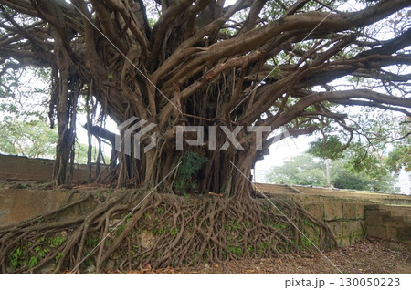 那覇 崇元寺 那覇 崇元寺 130050223