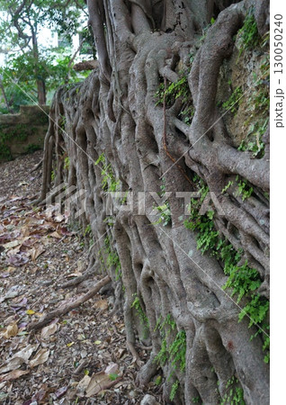 那覇　崇元寺 130050240